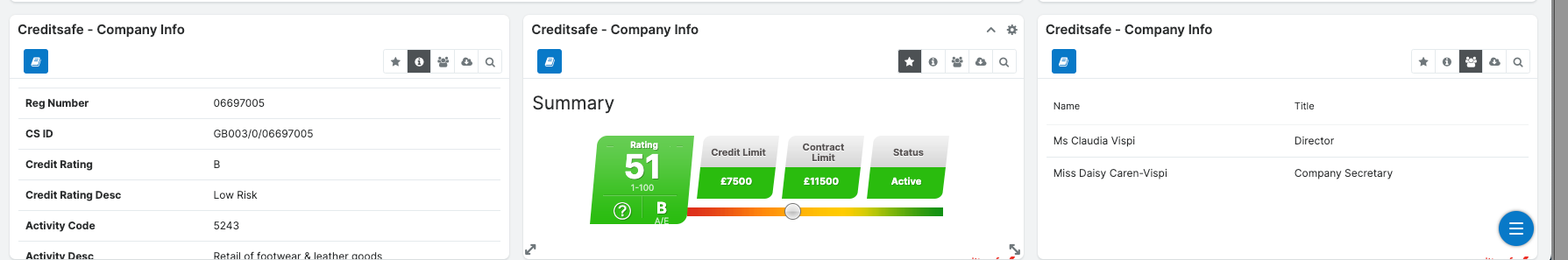 Creditsafe dashboard.png